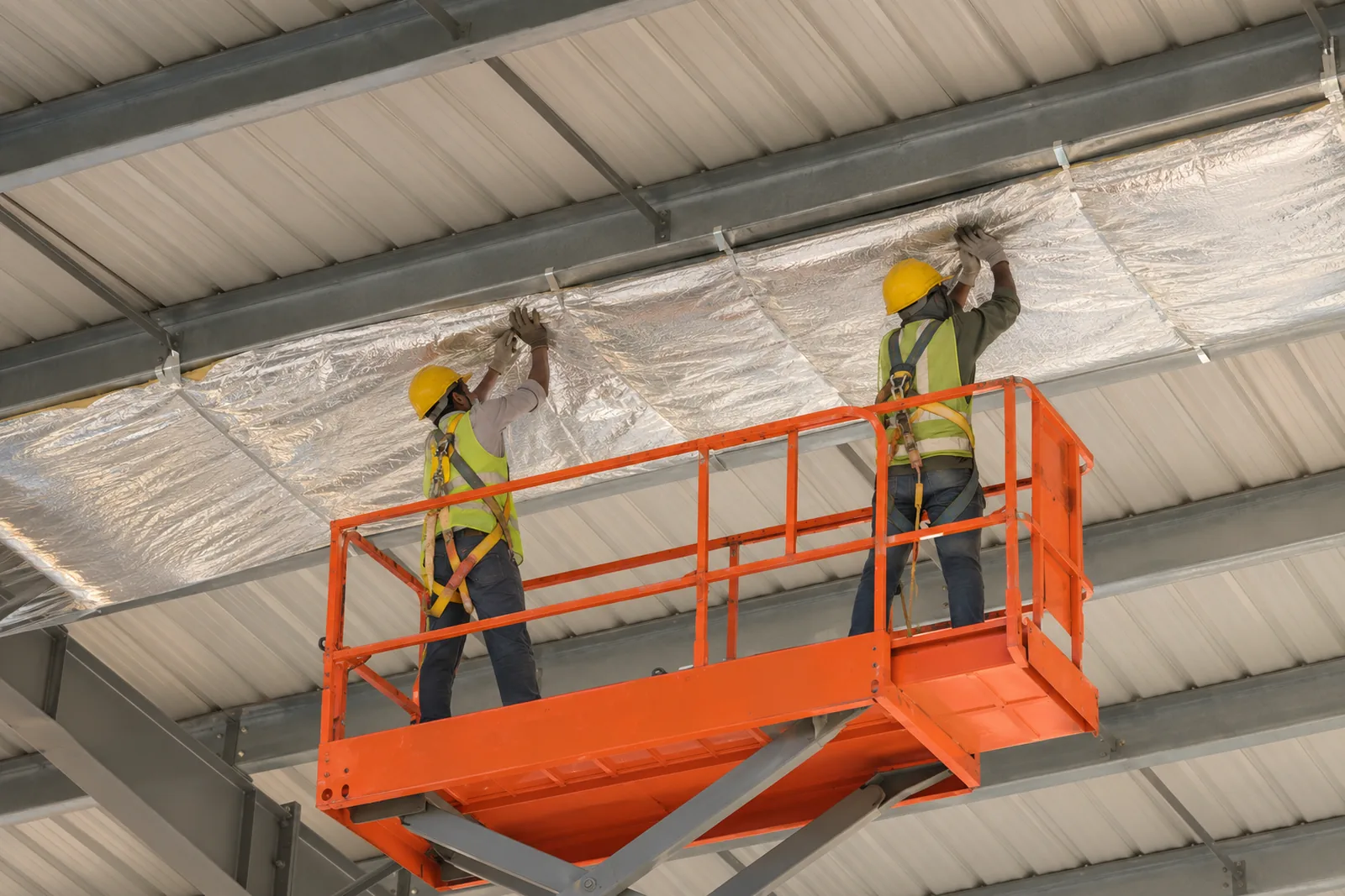 Insulation being fixed under a metal roof from a scissor lift, purlins and roof sheets visible